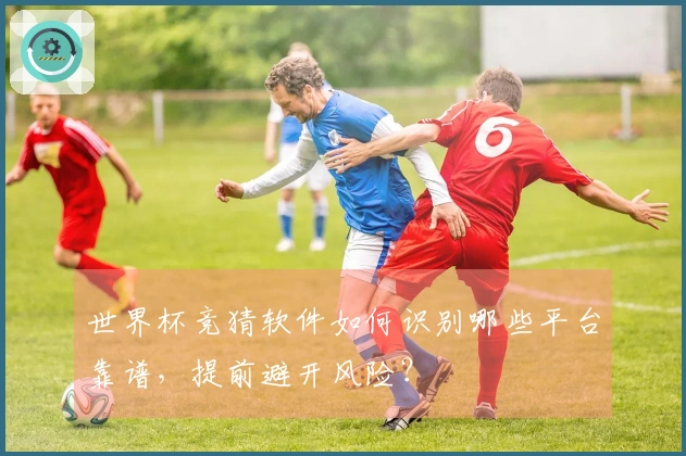 世界杯竞猜软件如何识别哪些平台靠谱，提前避开风险？