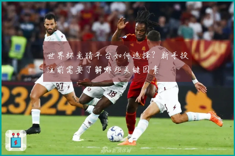 世界杯竞猜平台如何选择？新手投注前需要了解哪些关键因素