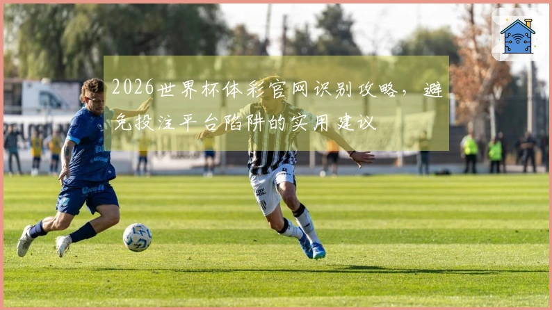 2026世界杯体彩官网识别攻略，避免投注平台陷阱的实用建议
