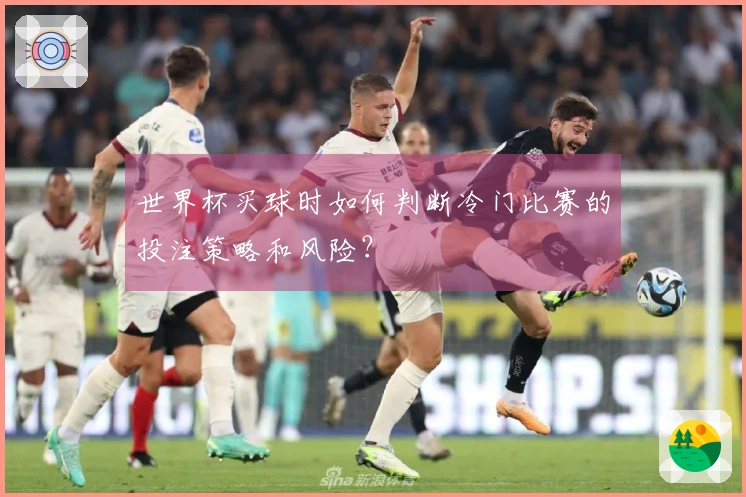 世界杯买球时如何判断冷门比赛的投注策略和风险？