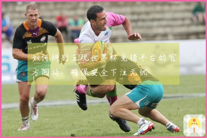 如何辨别正规世界杯竞猜平台的官方网站，确保安全下注无忧