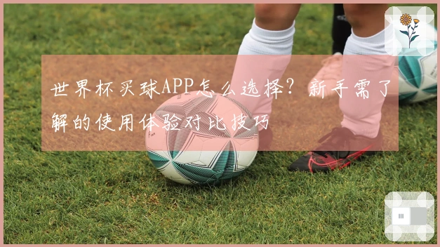 世界杯买球APP怎么选择？新手需了解的使用体验对比技巧