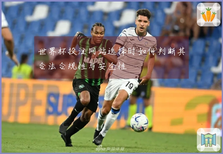 世界杯投注网站选择时如何判断其合法合规性与安全性
