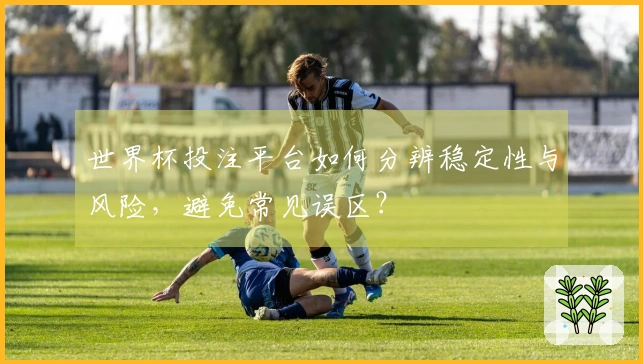 世界杯投注平台如何分辨稳定性与风险，避免常见误区？