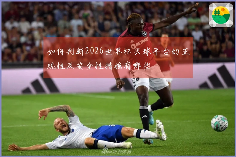 如何判断2026世界杯买球平台的正规性及安全性措施有哪些
