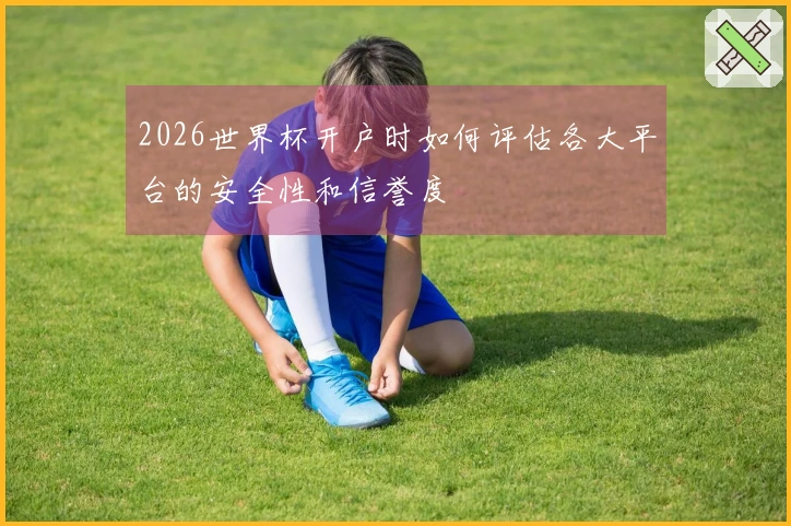2026世界杯开户时如何评估各大平台的安全性和信誉度