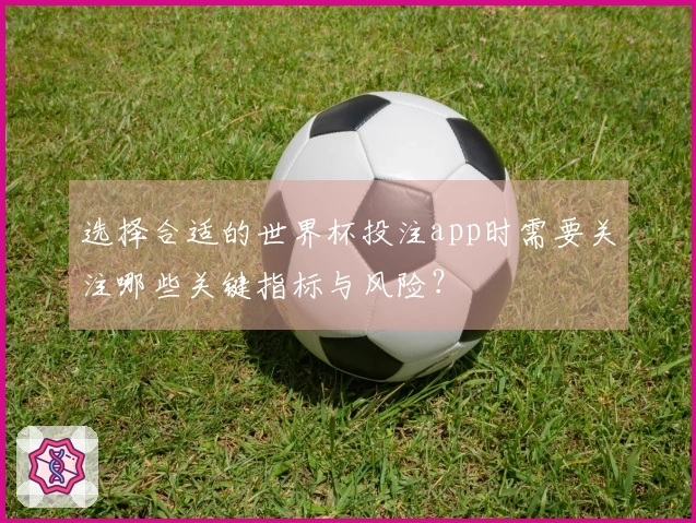 选择合适的世界杯投注app时需要关注哪些关键指标与风险？