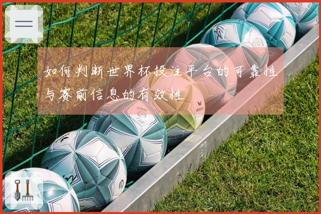 如何判断世界杯投注平台的可靠性与赛前信息的有效性