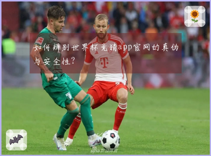 如何辨别世界杯竞猜app官网的真伪与安全性？