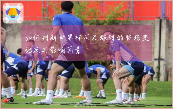 如何判断世界杯买足球时的临场变化及其影响因素