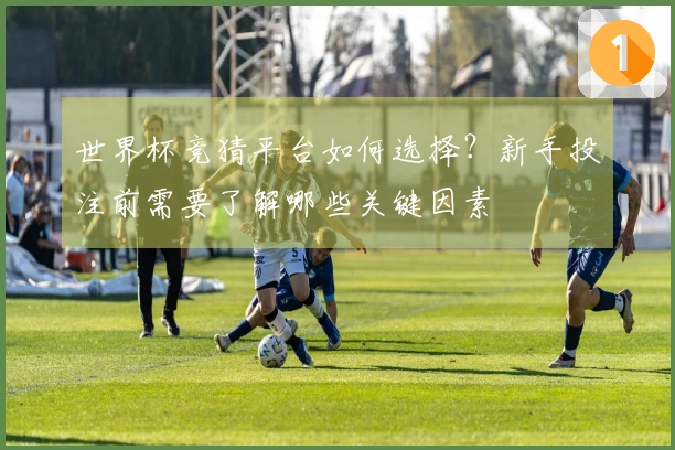 世界杯竞猜平台如何选择？新手投注前需要了解哪些关键因素