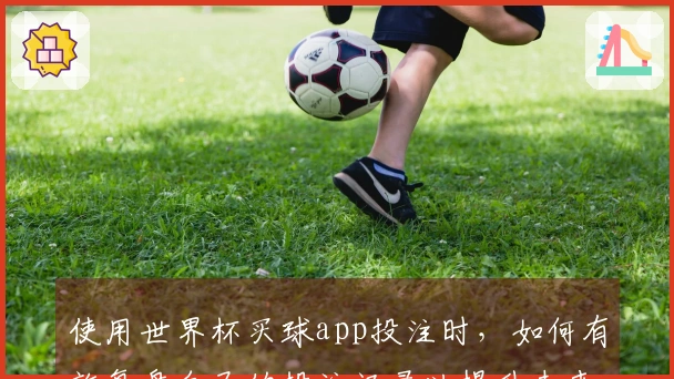 使用世界杯买球app投注时，如何有效复盘自己的投注记录以提升未来胜算？