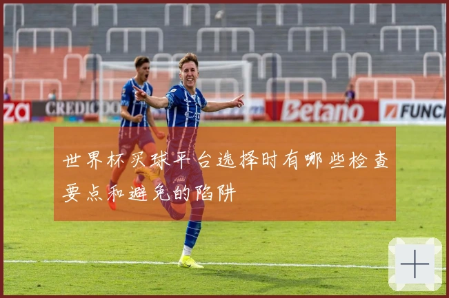 世界杯买球平台选择时有哪些检查要点和避免的陷阱