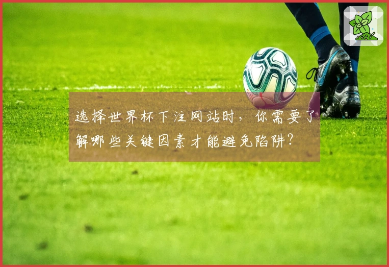 选择世界杯下注网站时，你需要了解哪些关键因素才能避免陷阱？