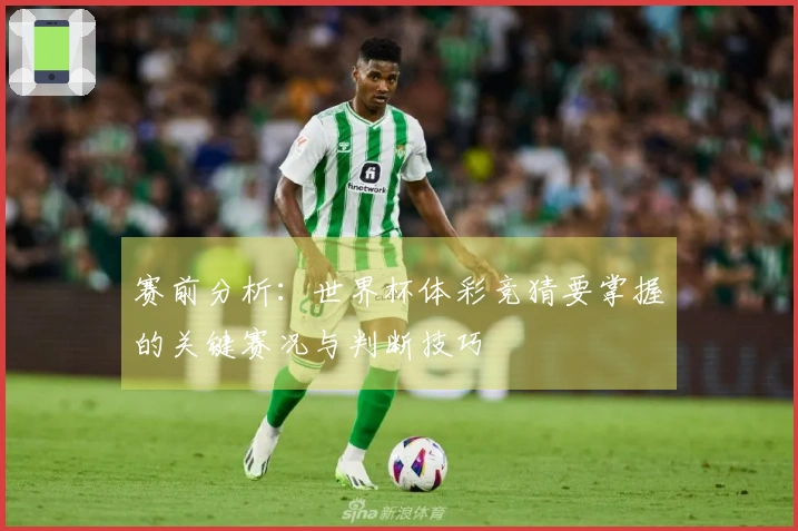 赛前分析：世界杯体彩竞猜要掌握的关键赛况与判断技巧