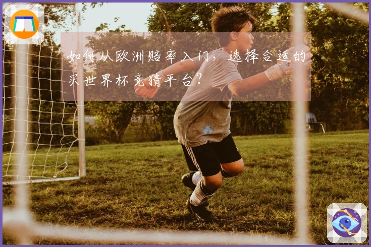 如何从欧洲赔率入门，选择合适的买世界杯竞猜平台？
