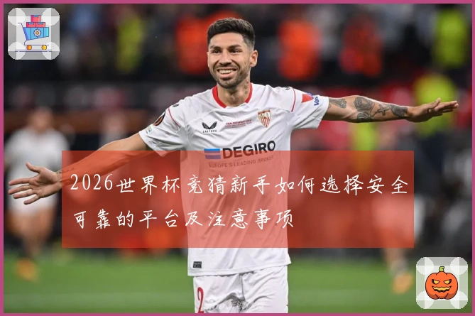 2026世界杯竞猜新手如何选择安全可靠的平台及注意事项