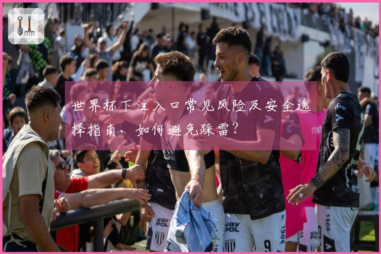 世界杯下注入口常见风险及安全选择指南，如何避免踩雷？
