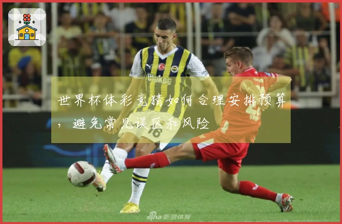 世界杯体彩竞猜如何合理安排预算，避免常见误区和风险